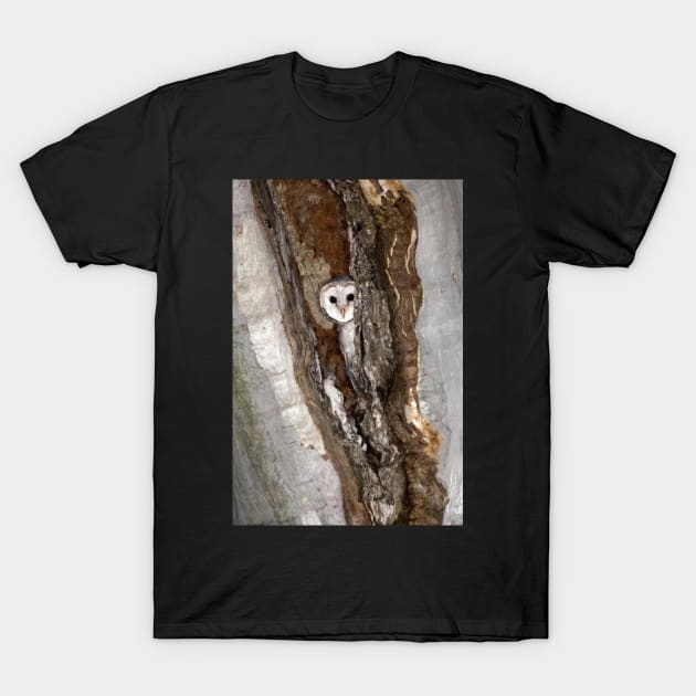 Barn Owl Peekaboo T-Shirt by AndrewGoodall